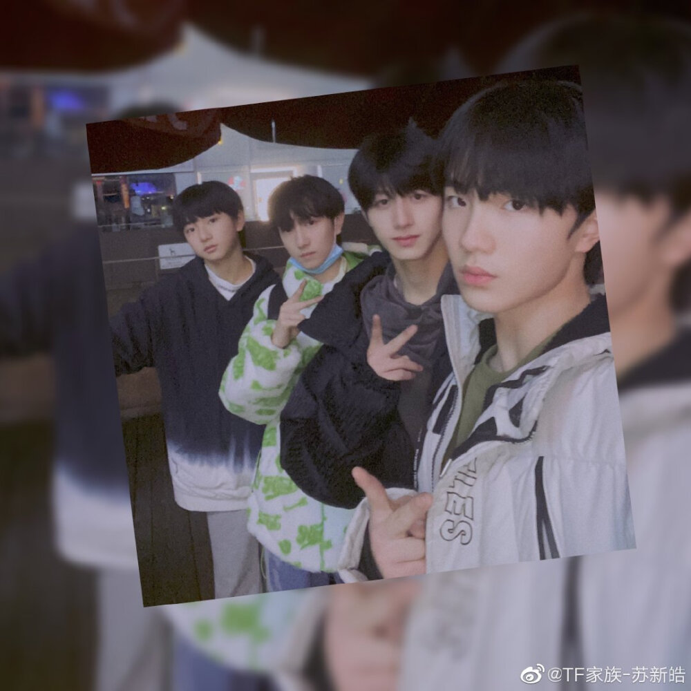 TF家族