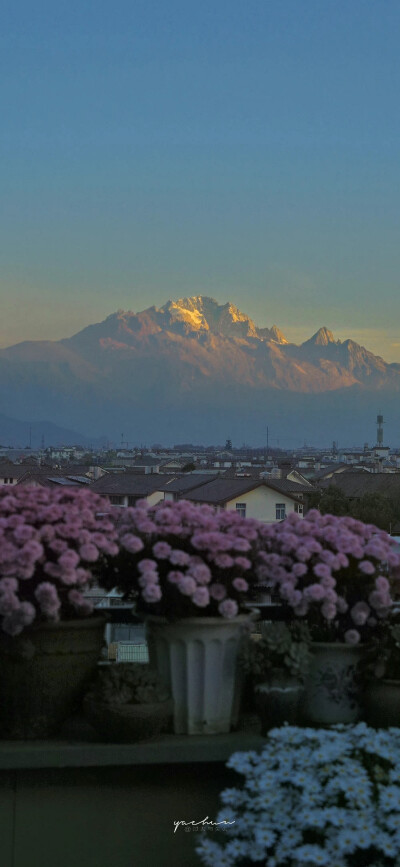 微博：过去与失去