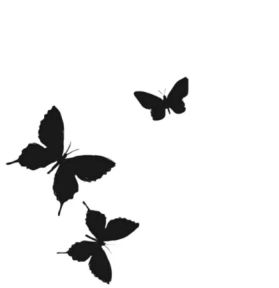 butterfly