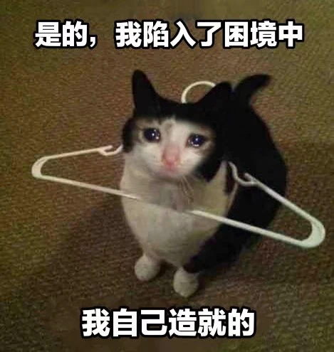 流泪猫猫头