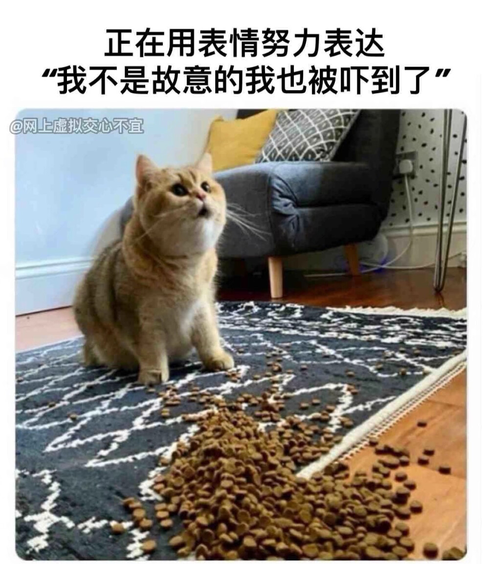 第二批