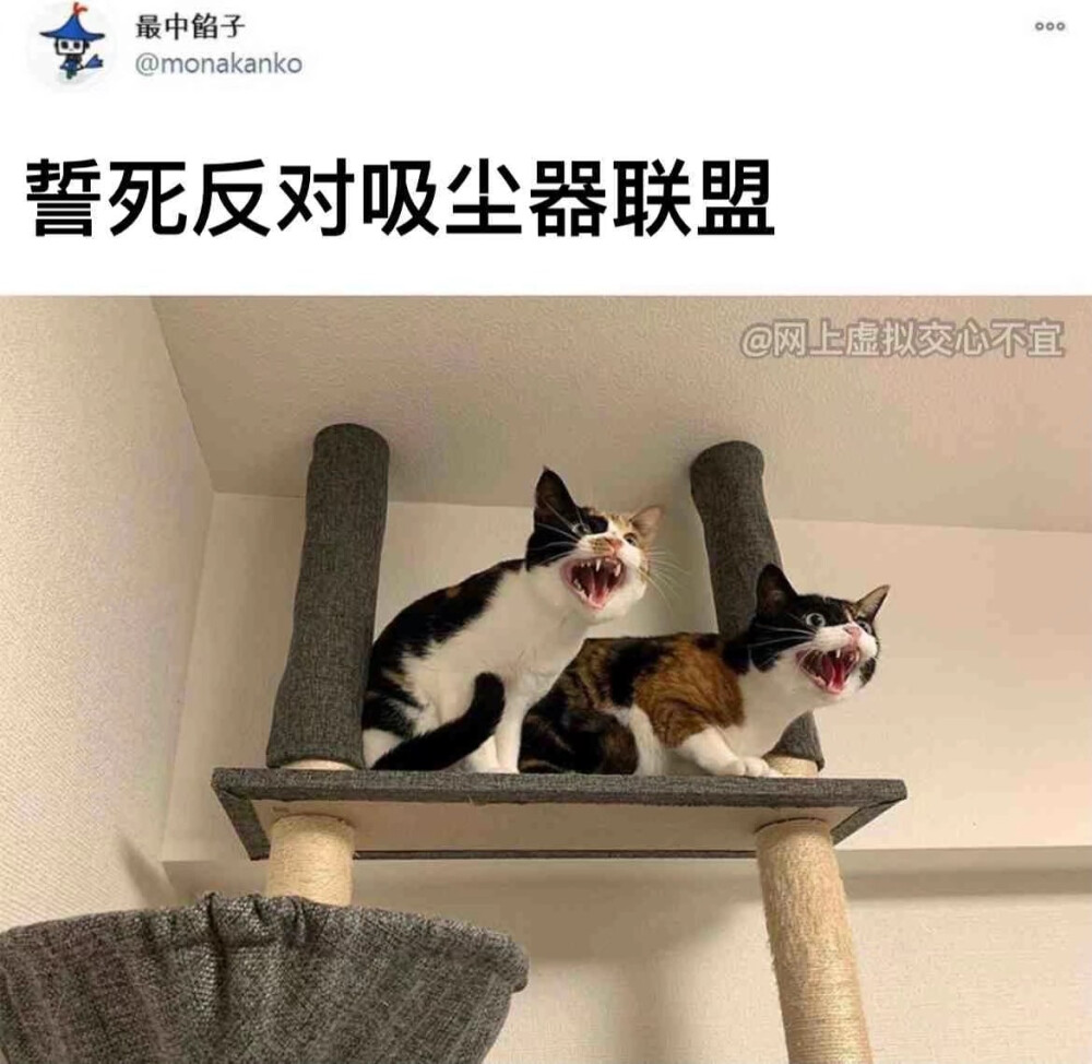 第二批