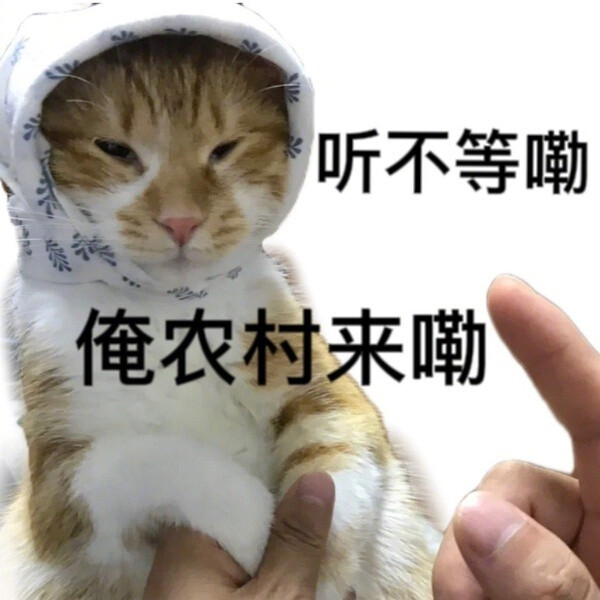 来源微博