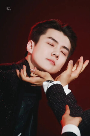 EXO存图相册XOXO拥抱亲吻 不续