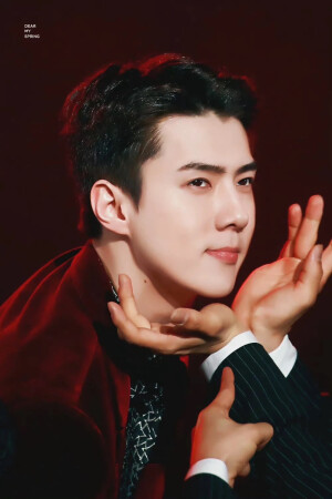 EXO存图相册XOXO拥抱亲吻 不续