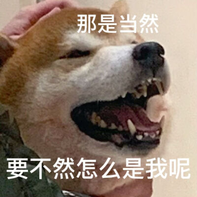 修勾勾