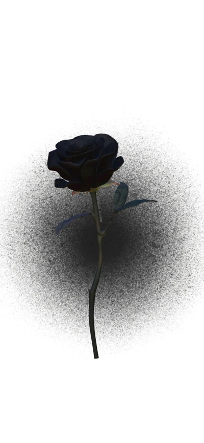 二传记得艾特标明我