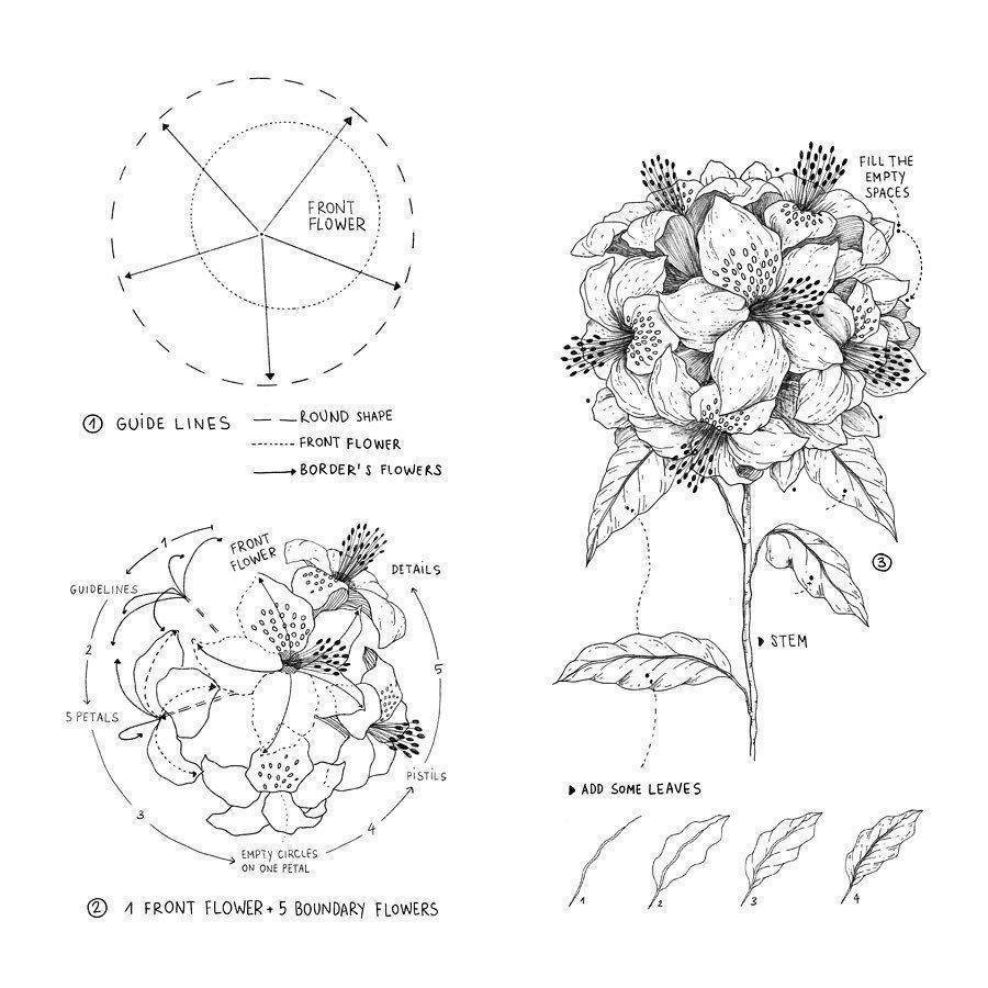 画花卉造型，细节处理