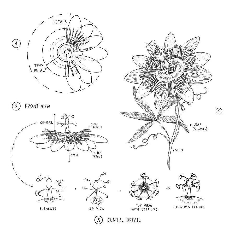 画花卉造型，细节处理