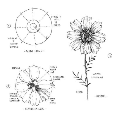 画花卉造型，细节处理