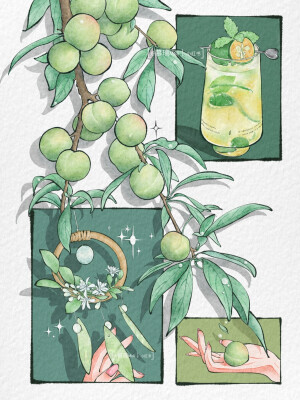 绿色与花 分镜插画

画师:慕璃Muli