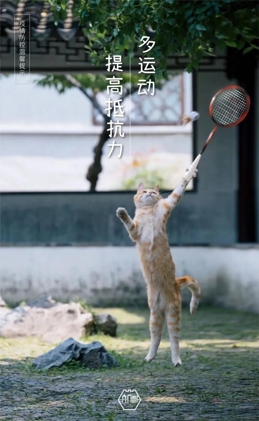 喵呜不停