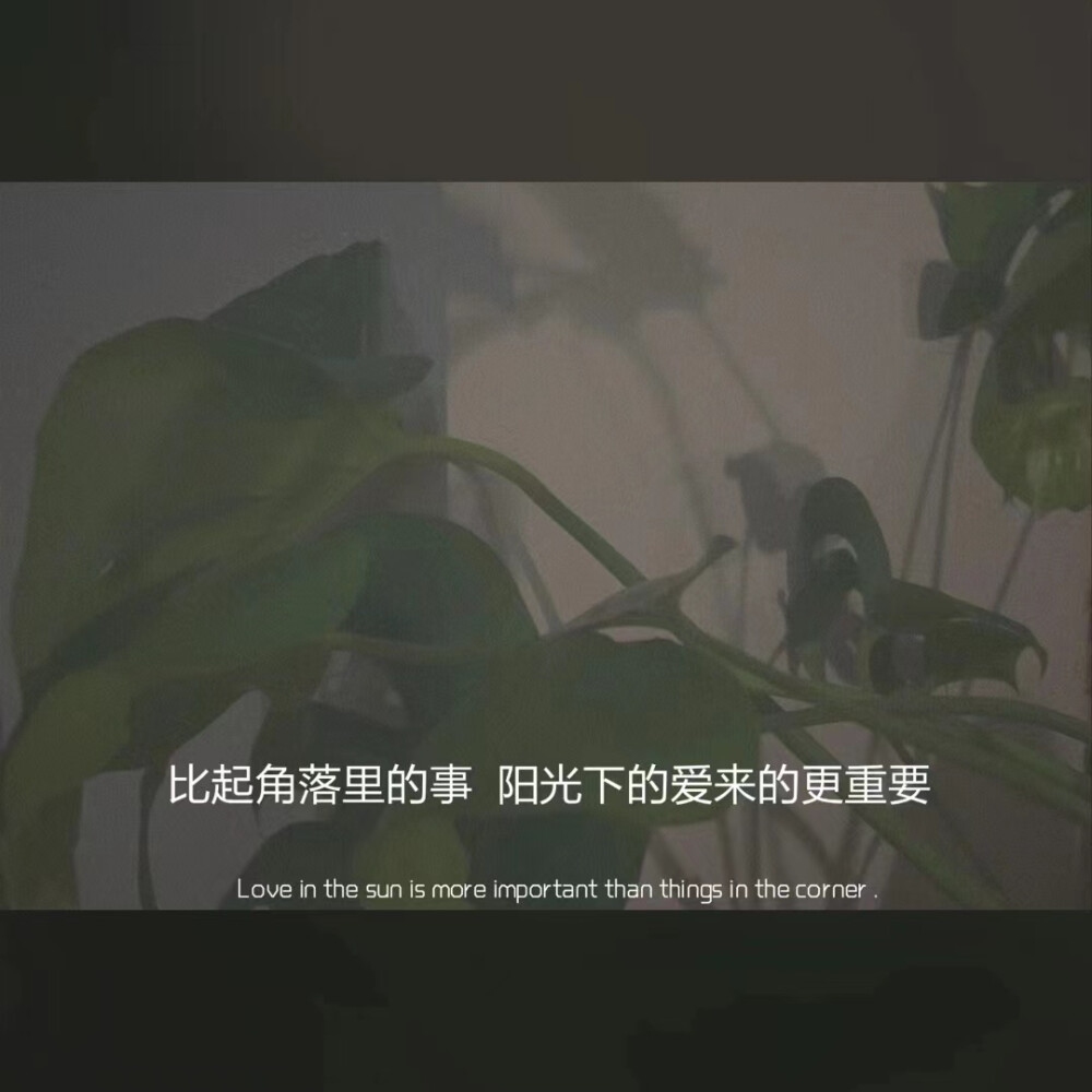 三观很正的文案