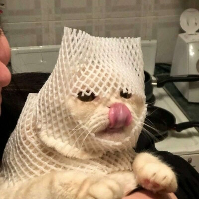 把你的心偷走 （太可爱了吧）