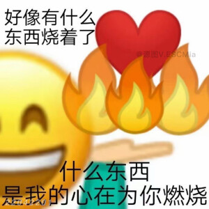 Share｜谐音梗表情包
-
我在看书。什么书？遇到你我愿赌服输！