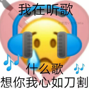 Share｜谐音梗表情包
-
我在看书。什么书？遇到你我愿赌服输！