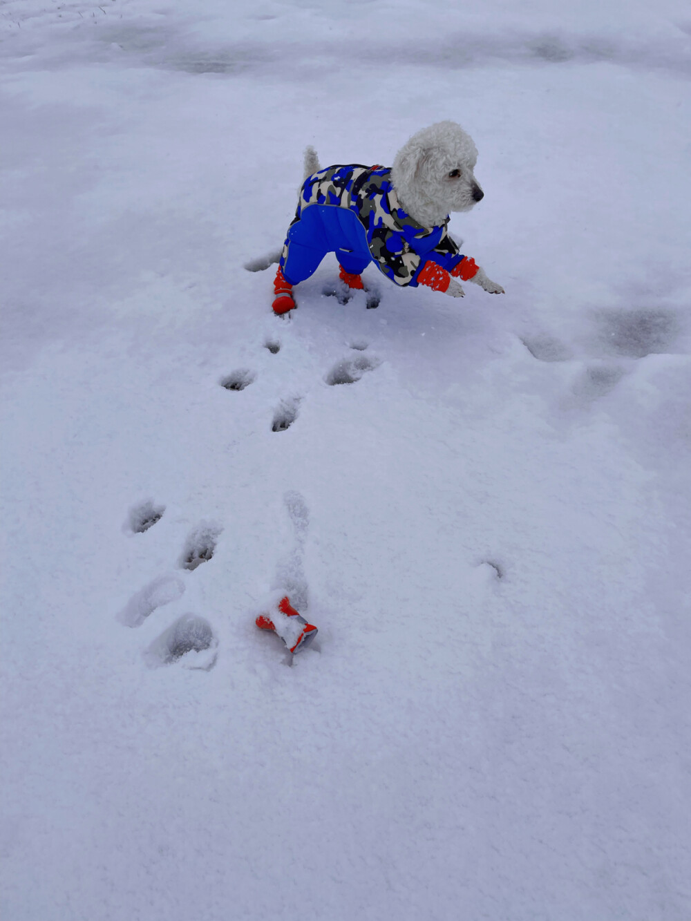 下雪了
