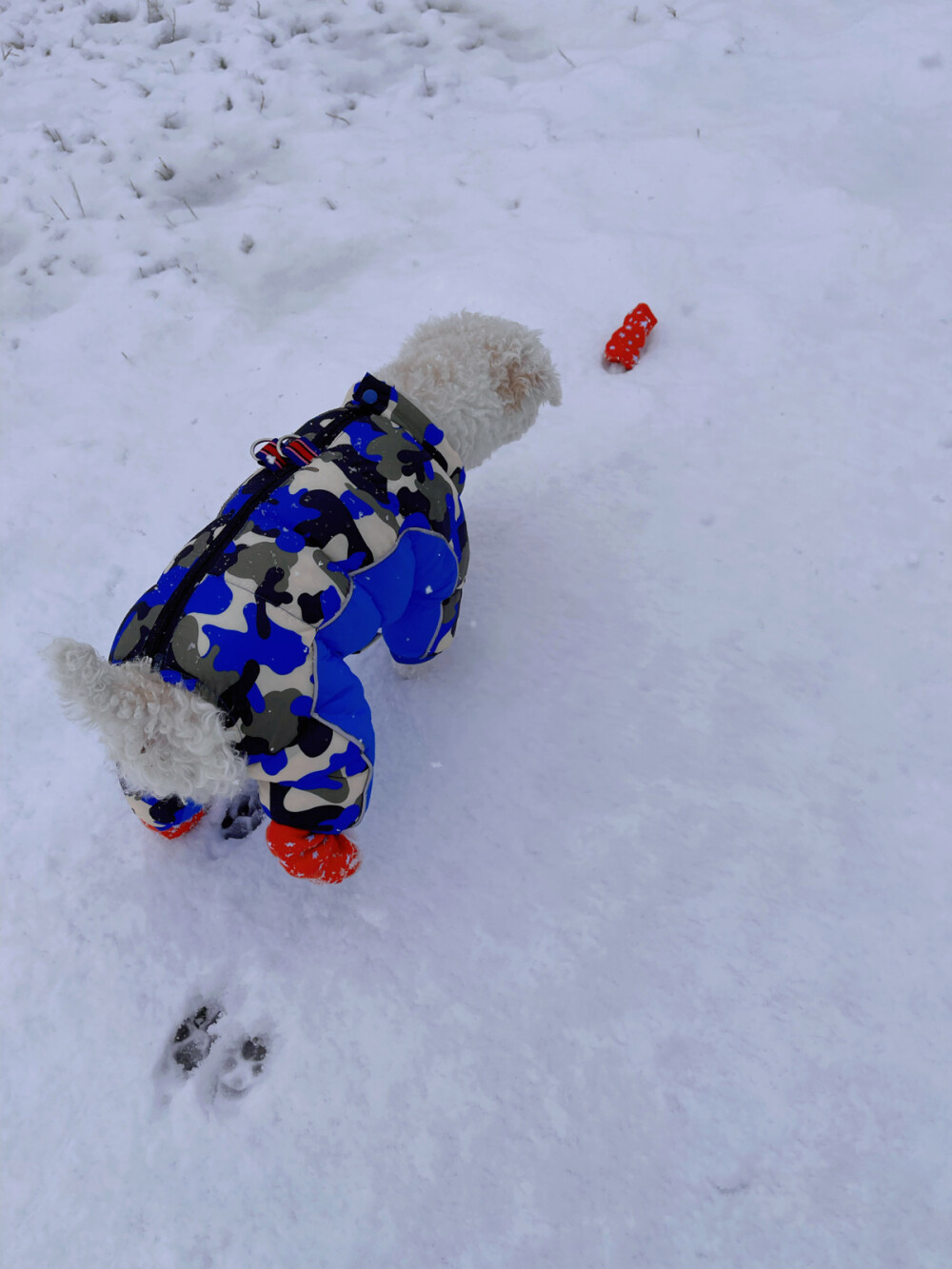 下雪了
