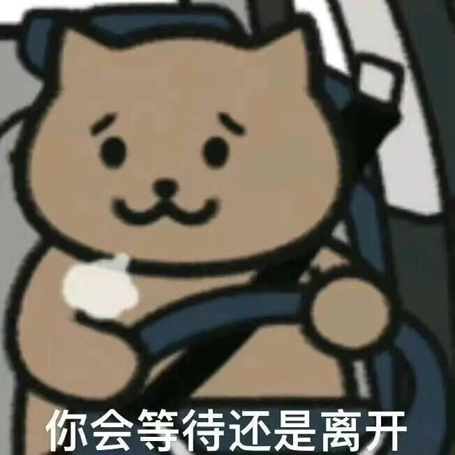 杰伦歌词猫猫表情包