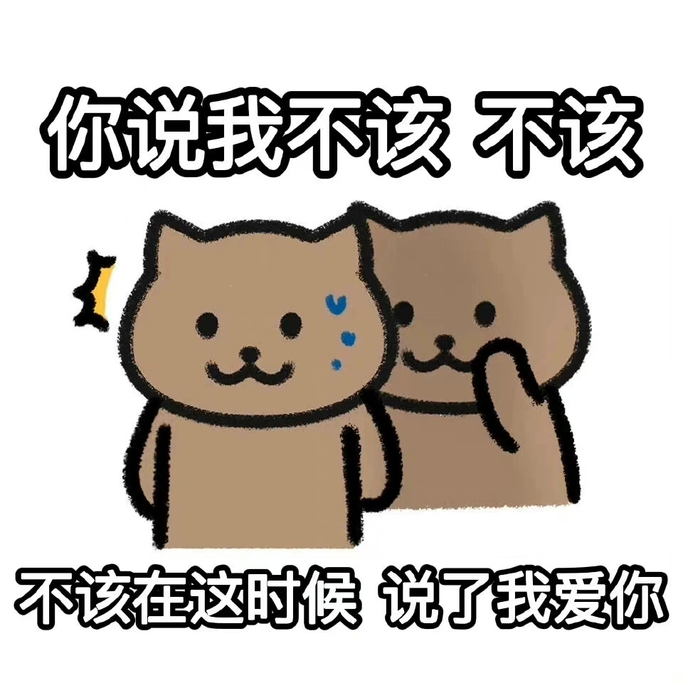 杰伦歌词猫猫表情包