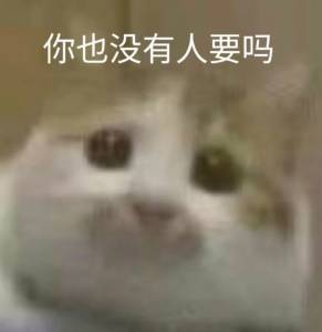 卑微の猫猫