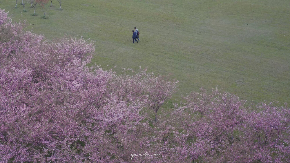 电脑壁纸
来源：过去与失去