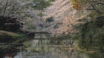 电脑壁纸
来源：过去与失去