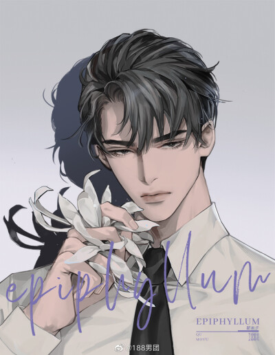 188男团白日梦系列