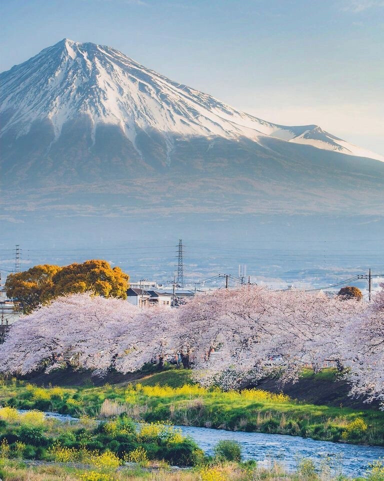 只有日本_富士山 - 堆糖,美圖壁紙興趣社區