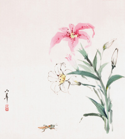 国画公开课之百合花
