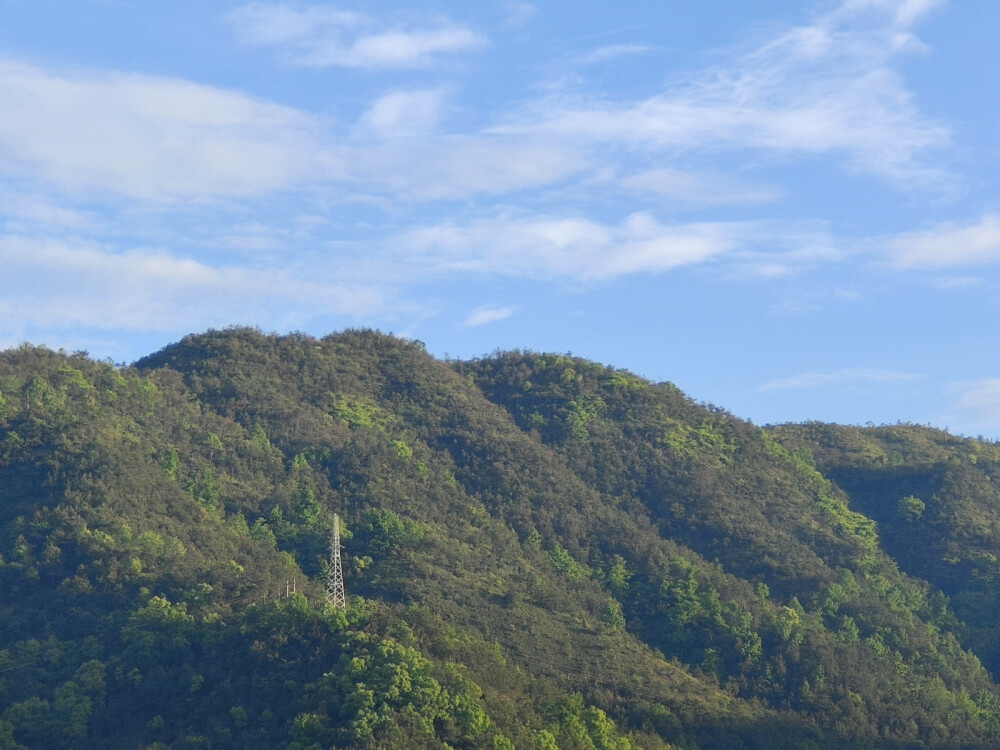 山