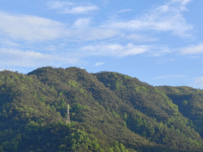 山