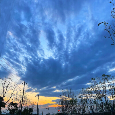 随手拍风景