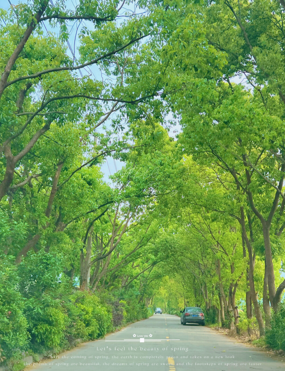 随手拍风景