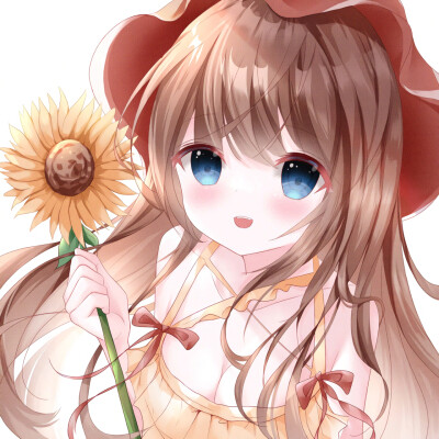 分享