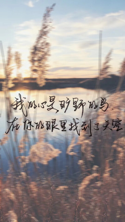 林源锋 投稿