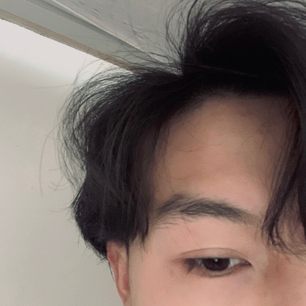 半脸本人男头