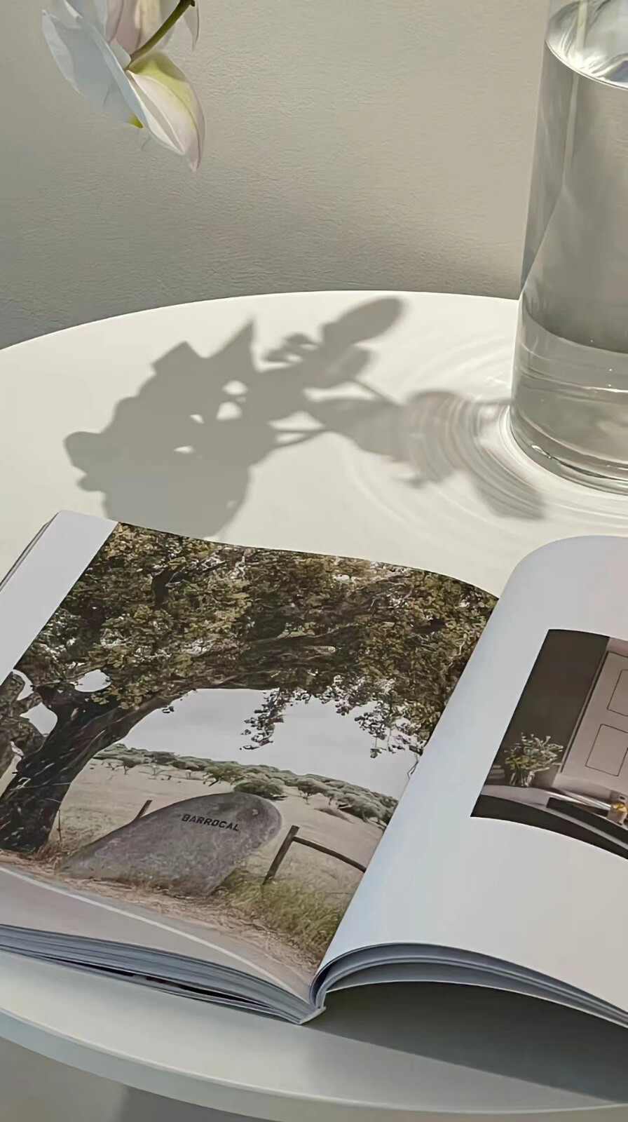 一起吹过晚风的人，大概会记得久一些