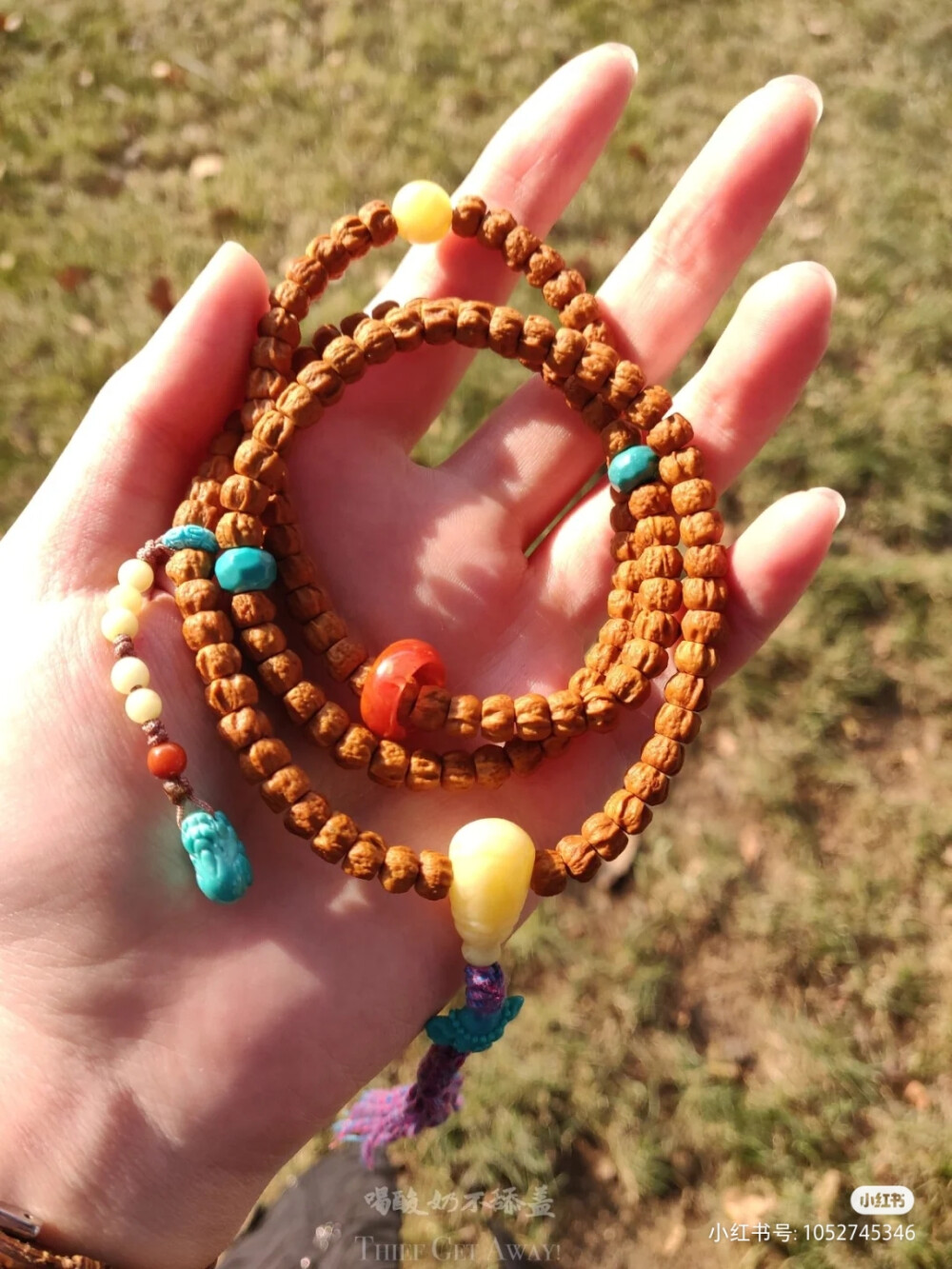 星月橄榄核百香籽