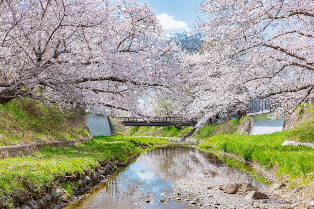 风景