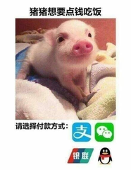 哈哈