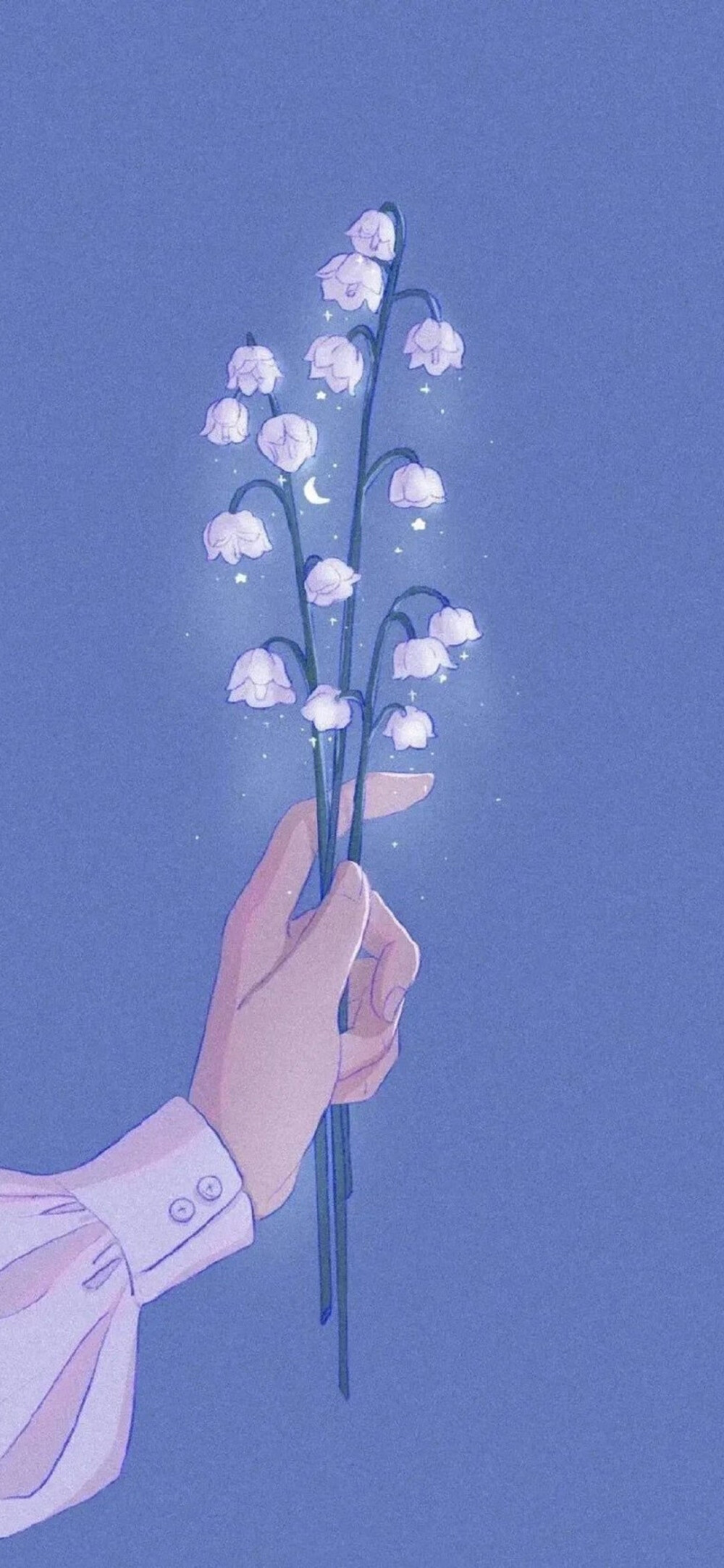 -月亮才不会失约/壁纸