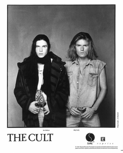 The cult