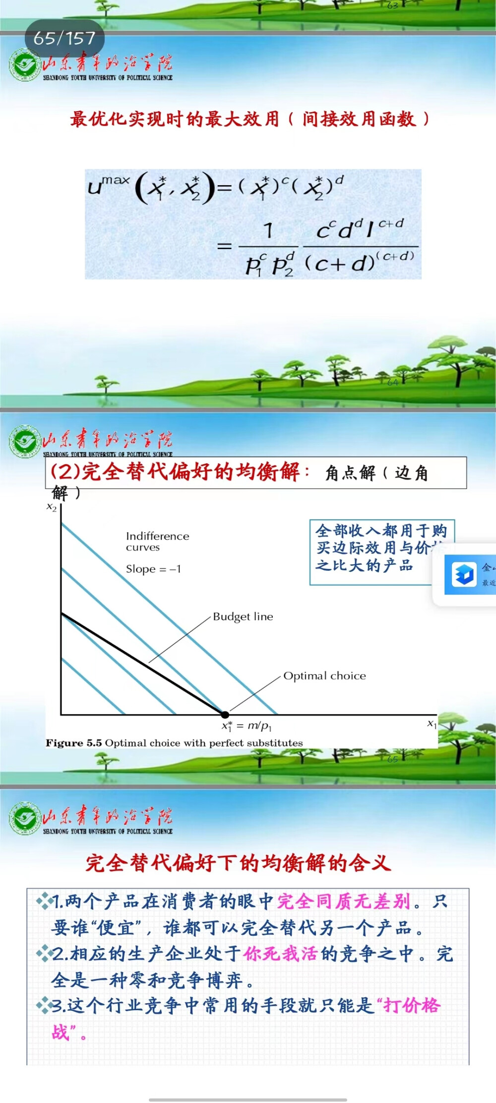 完全替代偏好