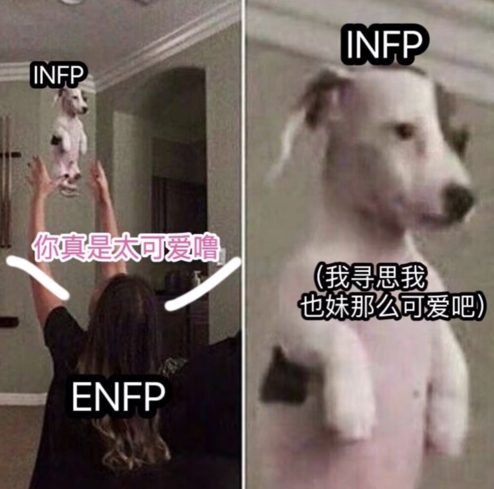 INFP ENFP