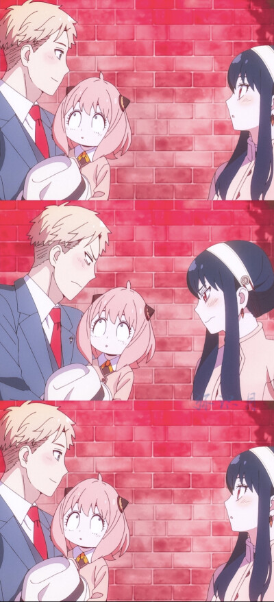 间谍过家家｜壁纸