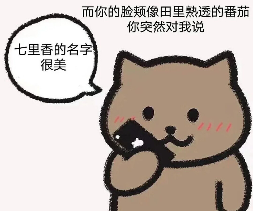 周杰伦小熊歌词表情包