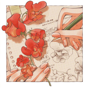 日菜乃 分镜插画师