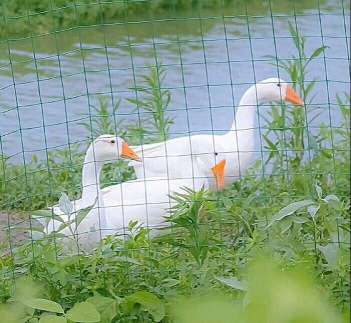 “气温在慢慢上升 属于我们的夏天要来了”
充满夏天气息的图片