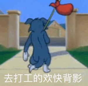 猫和老鼠
